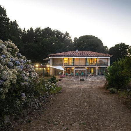 Braga House & Wine Villa Luaran gambar