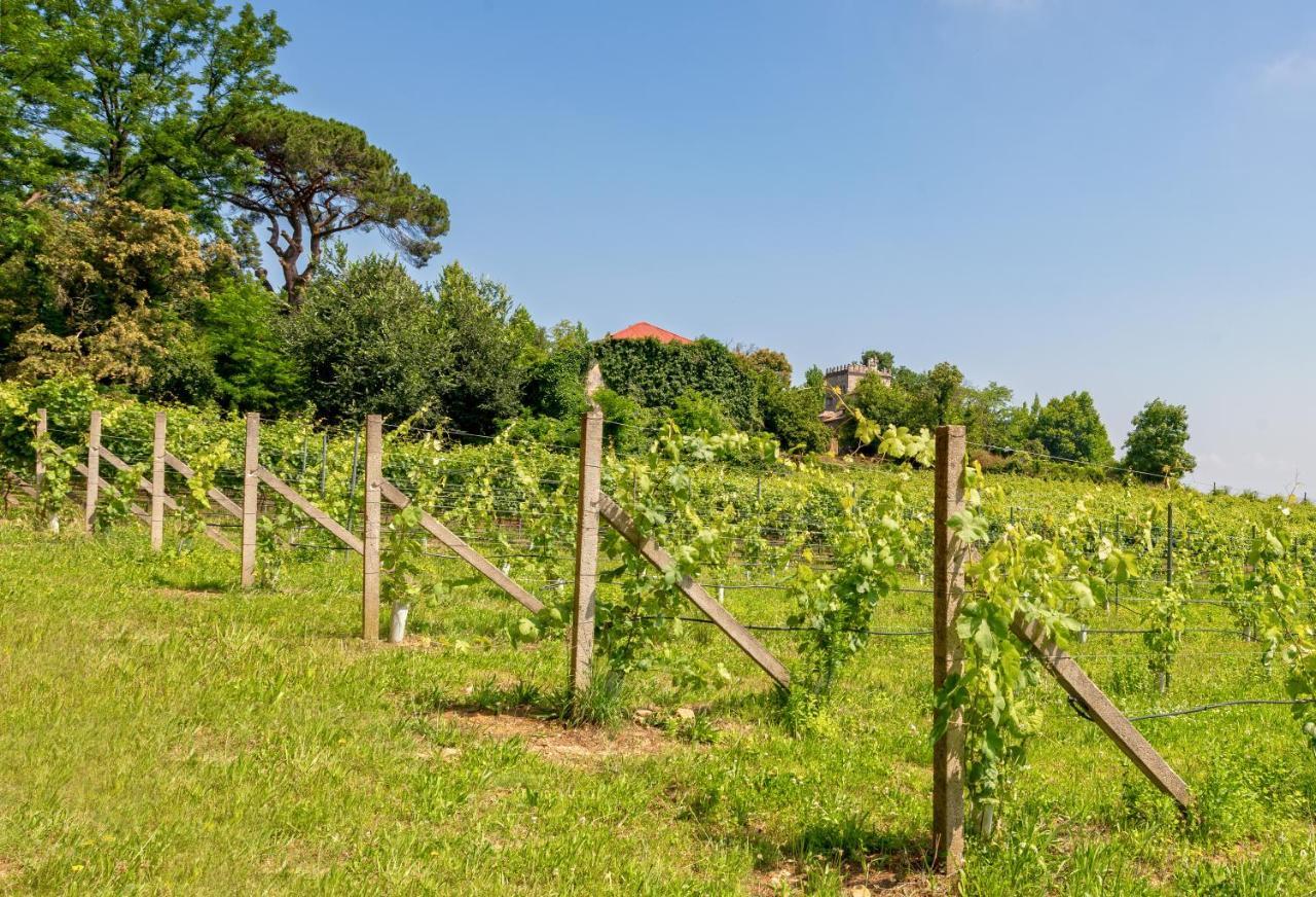 Braga House & Wine Villa Luaran gambar